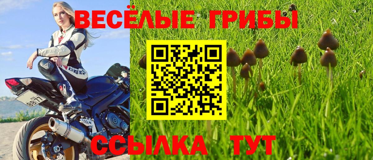 Боровичи  Псилоцибиновые грибы мухоморы  Вход с VPN 